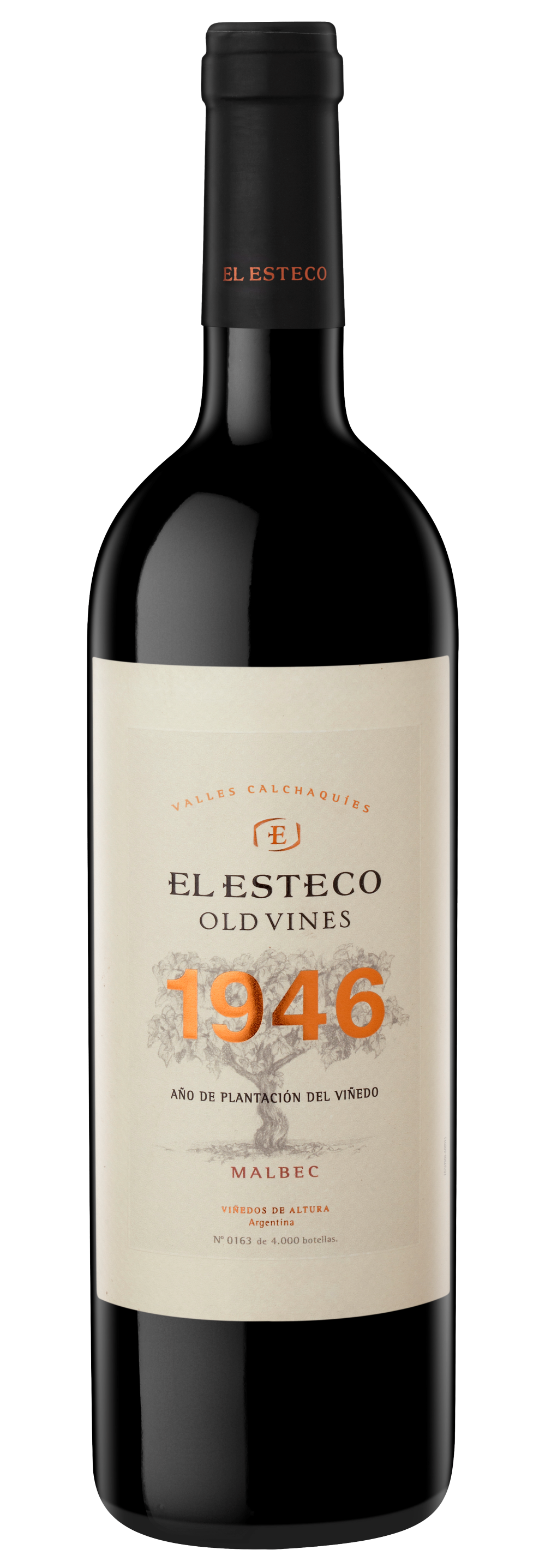 El Esteco Old Vines Malbec